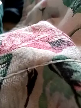 Apollio12filo online show from 15, 3, 2026