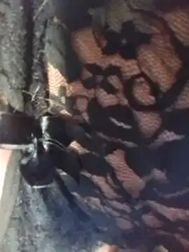 misteriosabb000 online show from 17, 3, 2026