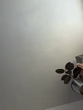 Snapshot of UnitedMap1 chatting on 20, 11, 2025 UnitedMap1 online show from 20, 11, 2025