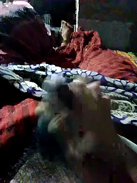 nagepalli online show from 22, 10, 2025