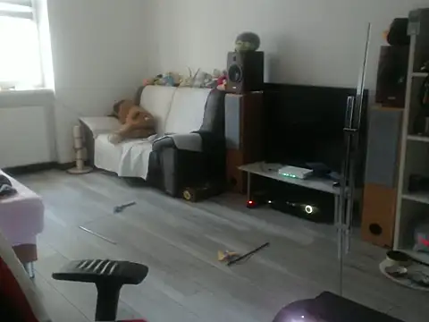 LoyalDoggie online show from 7, 6, 2026
