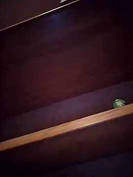 Snapshot of DeeBestEver chatting on 4, 11, 2025 DeeBestEver online show from 4, 11, 2025