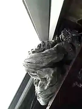 Snapshot of amanWildstalion chatting on 8, 11, 2025 amanWildstalion online show from 8, 11, 2025