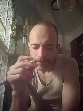 Snapshot of Curious9884 chatting on 30, 11, 2025 Curious9884 online show from 30, 11, 2025