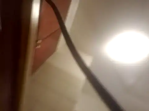 Snapshot of Curious9884 chatting on 1, 2, 2026 Curious9884 online show from 1, 2, 2026