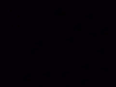 Snapshot of Curious9884 chatting on 2, 3, 2026 Curious9884 online show from 2, 3, 2026