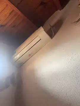 lcyatussbe online show from 29, 10, 2025