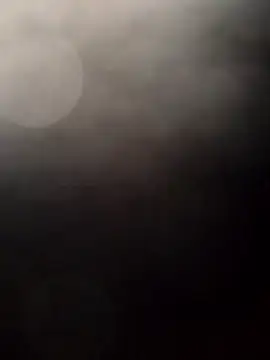 Snapshot of Payarkanasa chatting on 28, 11, 2025 Payarkanasa online show from 28, 11, 2025