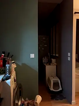 bebecita x online show from 14, 11, 2025