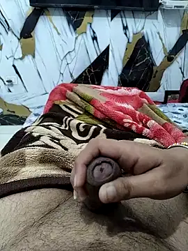 Nisha sonu couple online show from 17, 11, 2025