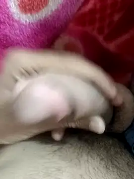 Snapshot of pn12345 chatting on 9, 11, 2025 pn12345 online show from 9, 11, 2025