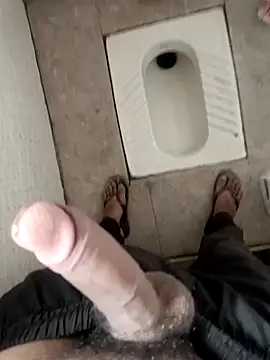 Snapshot of pn12345 chatting on 29, 11, 2025 pn12345 online show from 29, 11, 2025