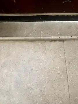 Snapshot of pn12345 chatting on 1, 12, 2025 pn12345 online show from 1, 12, 2025