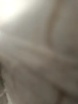 Snapshot of pn12345 chatting on 4, 12, 2025 pn12345 online show from 4, 12, 2025