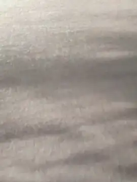 Y0ur Slave online show from 5, 3, 2026