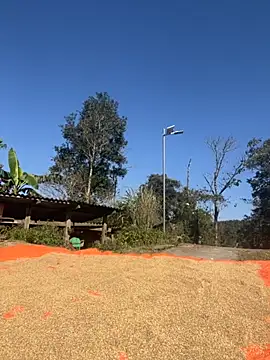 Snapshot of miemie-xx chatting on 26, 11, 2025 miemie-xx online show from 26, 11, 2025