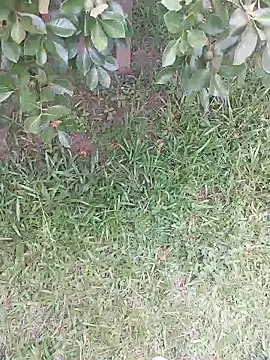 Merlin2310 online show from 9, 2, 2026