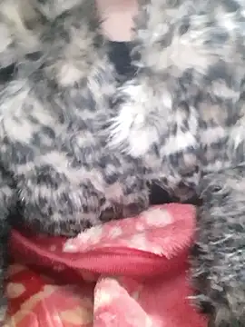 Mahi677 online show from 8, 1, 2026