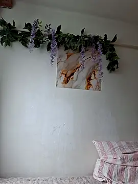 Nika aa online show from 16, 4, 2026