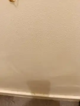  Gabriela 5Live online show from 10, 11, 2025