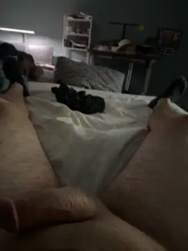 Beastyfuck online show from 8, 5, 2026