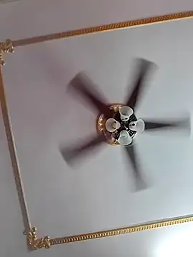 Dr Bangla online show from 1, 11, 2025