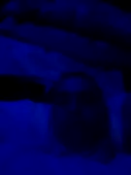 sexdol2 online show from 22, 3, 2026