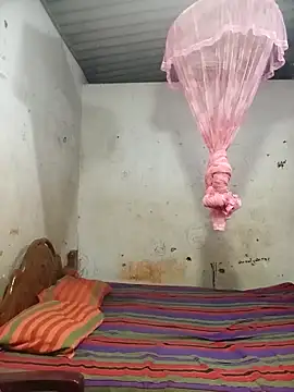 HarshiStar7 online show from 8, 11, 2025