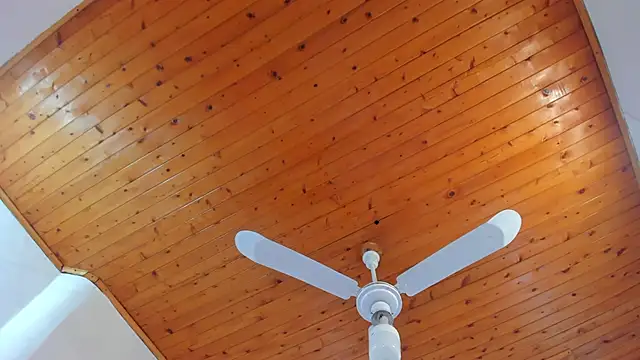 denisse khan online show from 17, 10, 2025