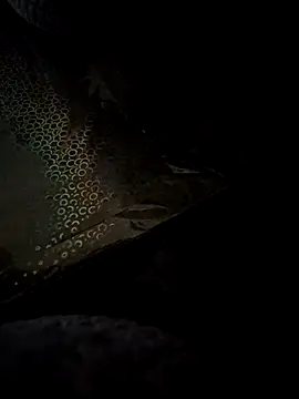crawlerdrill online show from 24, 5, 2026