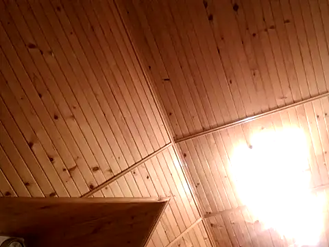 Snapshot of tibci12789 chatting on 5, 12, 2025 tibci12789 online show from 5, 12, 2025