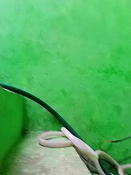 Karishma cute online show from 29, 11, 2025