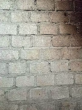 siusiu-00 online show from 24, 4, 2026