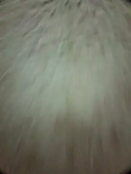 torresflow99nais online show from 25, 11, 2025