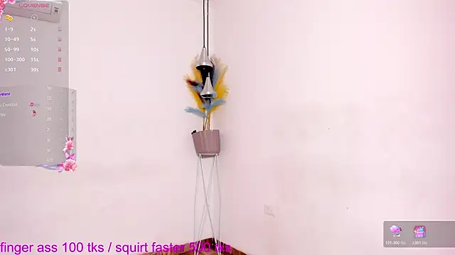 SSWEETSIINNN online show from 26, 7, 2026