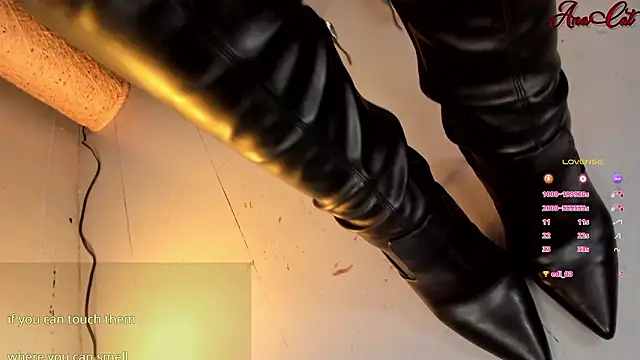 ana cat online show from 11, 3, 2026