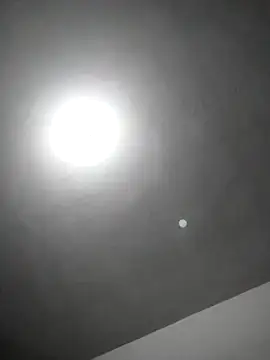 Snapshot of checheludo23 chatting on 25, 2, 2026 checheludo23 online show from 25, 2, 2026