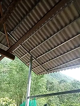 -Kem-01 online show from 27, 4, 2026