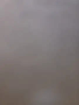 Snapshot of shainnfk chatting on 5, 3, 2026 shainnfk online show from 5, 3, 2026