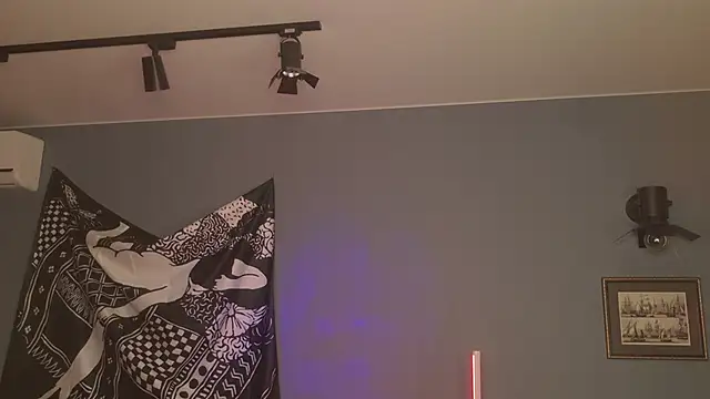 BellaSink online show from 25, 4, 2026