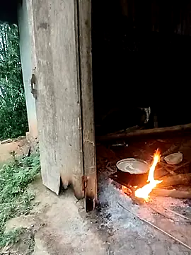 Myzak- online show from 24, 4, 2026