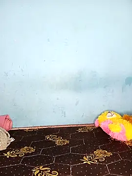 Deepa telugu online show from 21, 4, 2026