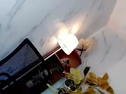 Snapshot of sweet_rose69 chatting on 16, 11, 2025 sweet rose69 online show from 16, 11, 2025