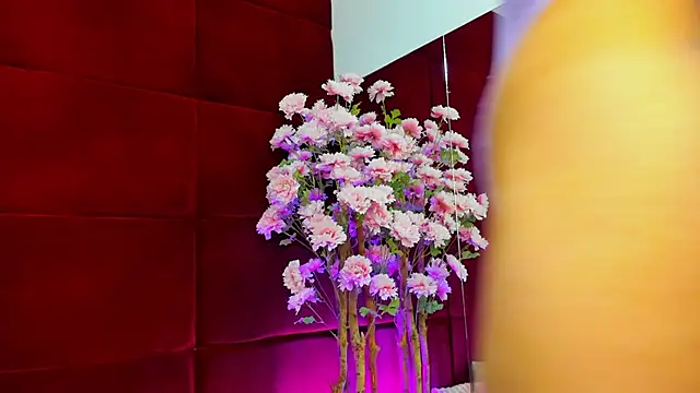 Snapshot of StepMomAnn chatting on 9, 11, 2025 StepMomAnn online show from 9, 11, 2025