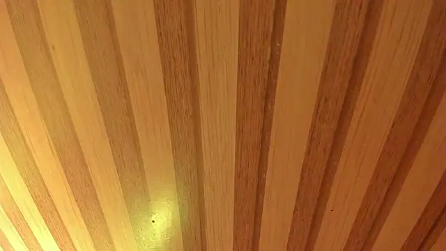 mia  blaze   online show from 20, 3, 2026