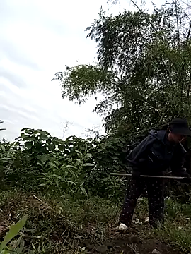 Chmdiemd online show from 21, 11, 2025