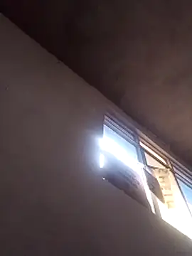 Orlao25cm online show from 15, 3, 2026