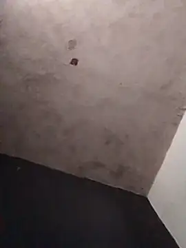 Orlao25cm online show from 25, 3, 2026