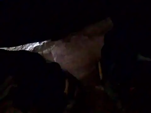 Orlao25cm online show from 27, 3, 2026