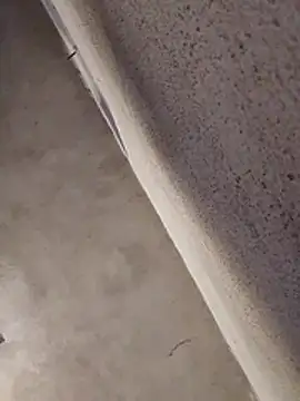 Orlao25cm online show from 1, 4, 2026